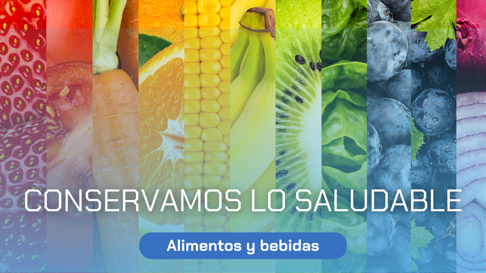 FABRICAMOS TU ESPACIO REFRIGERADO