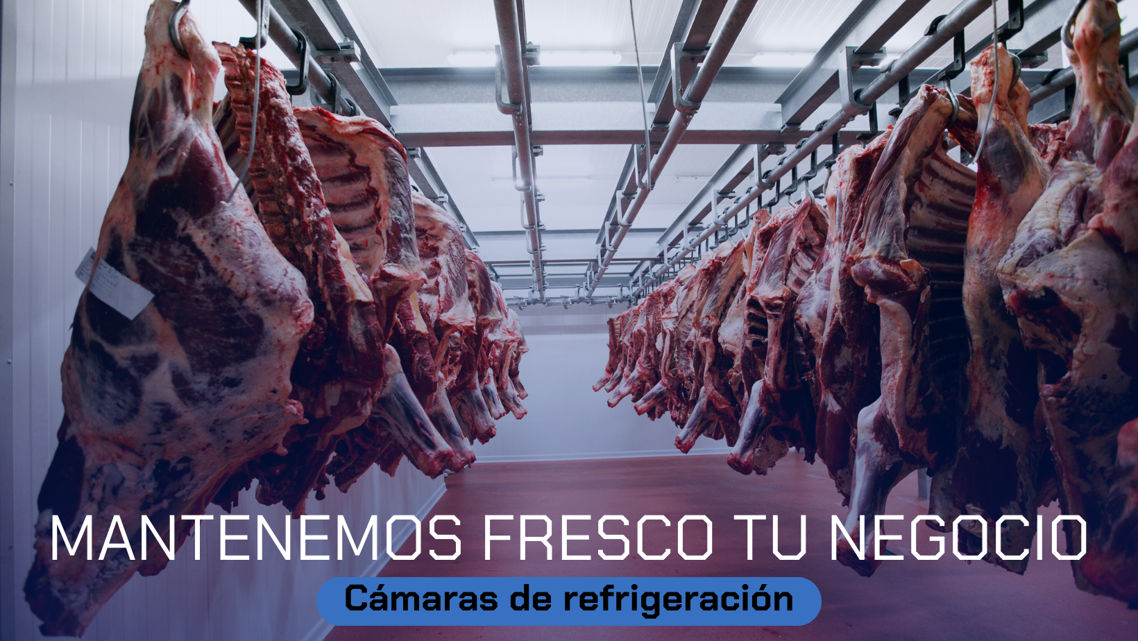 FABRICAMOS TU ESPACIO REFRIGERADO